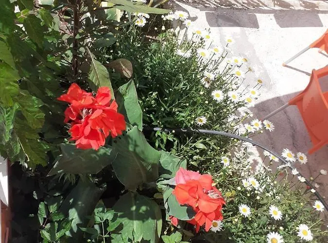 Bar Restaurant Mete * Peshkepi