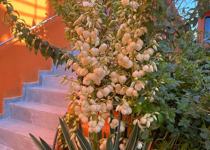 Hotel Bar Restaurant Mete Peshkepi