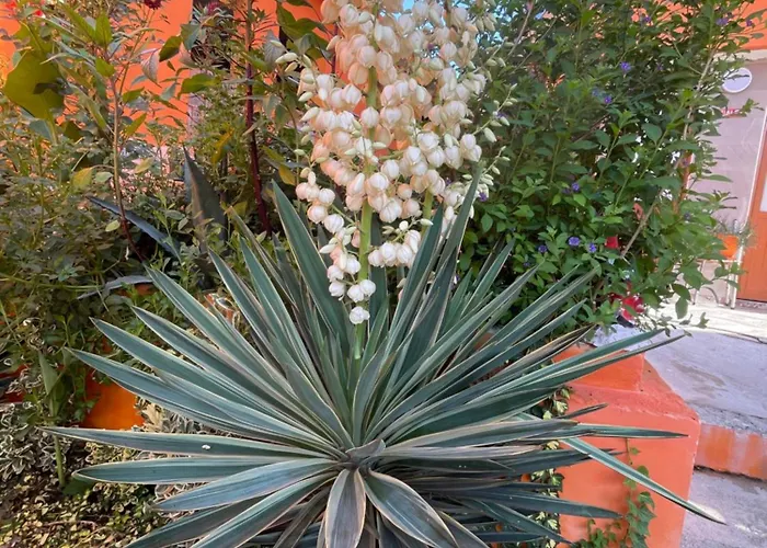 Hotel Bar Restaurant Mete *