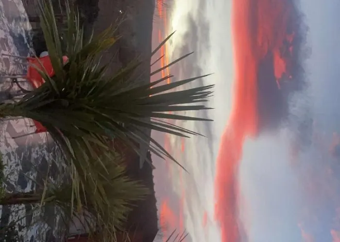 Bar Restaurant Mete Peshkepi