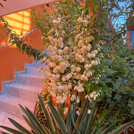 Szálloda Bar Restaurant Mete Peshkepi