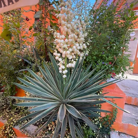 Szálloda Bar Restaurant Mete *